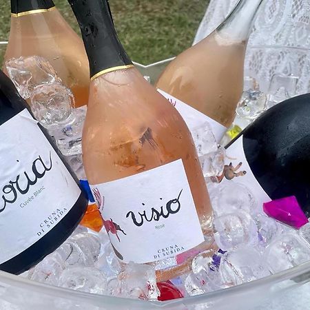 Cruna Di Subida Wine Country House กอร์มอนส์ ภายนอก รูปภาพ