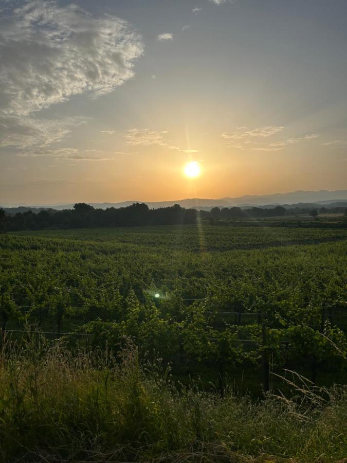 Cruna Di Subida Wine Country House กอร์มอนส์ ภายนอก รูปภาพ
