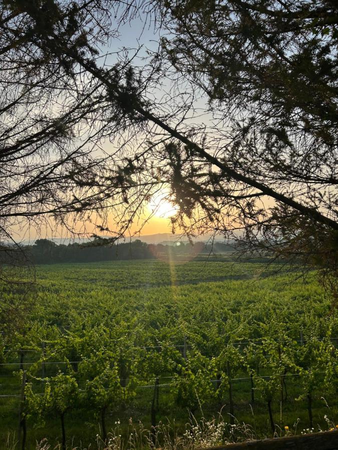 Cruna Di Subida Wine Country House กอร์มอนส์ ภายนอก รูปภาพ