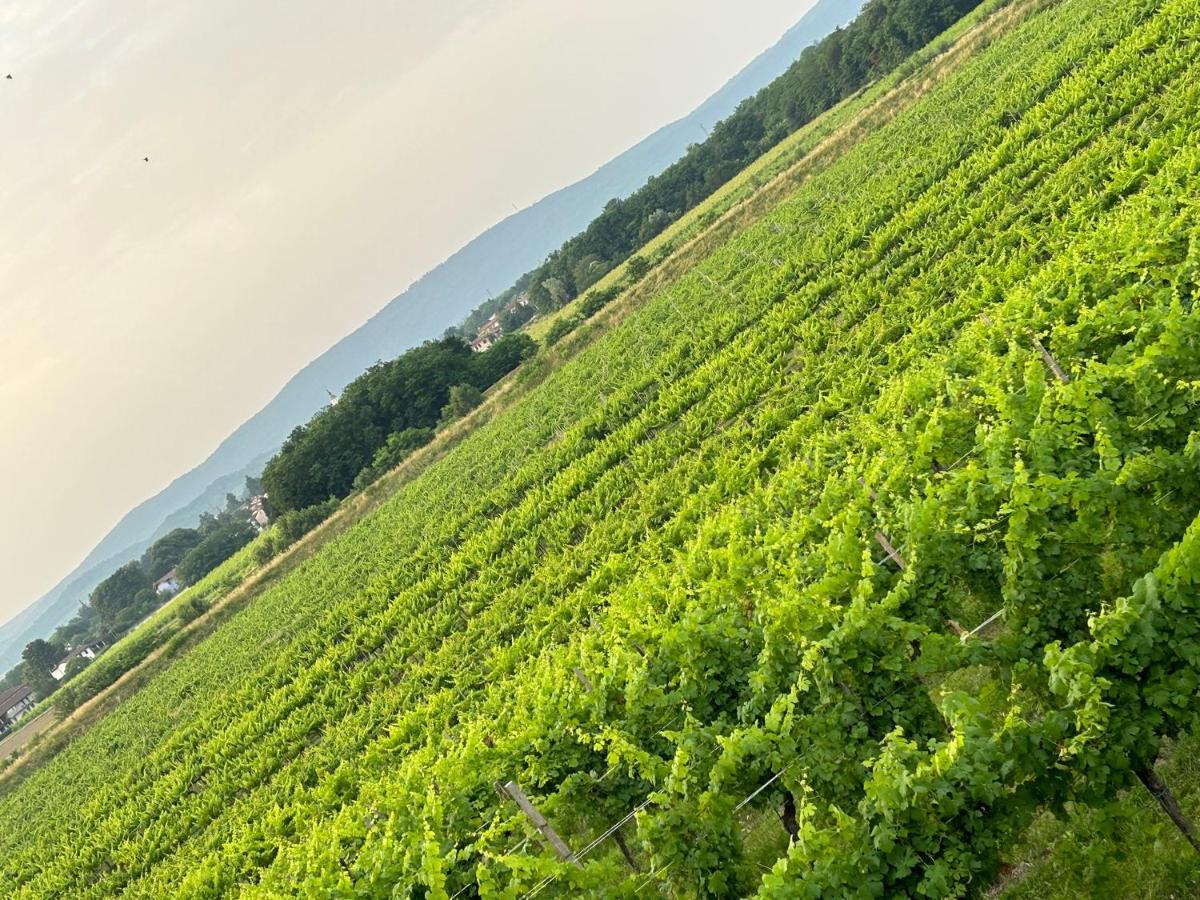 Cruna Di Subida Wine Country House กอร์มอนส์ ภายนอก รูปภาพ